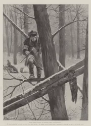 Schwarze Zobeljagd in Nordchina und Saghalien